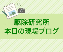 福岡の駆除研究所ブログ