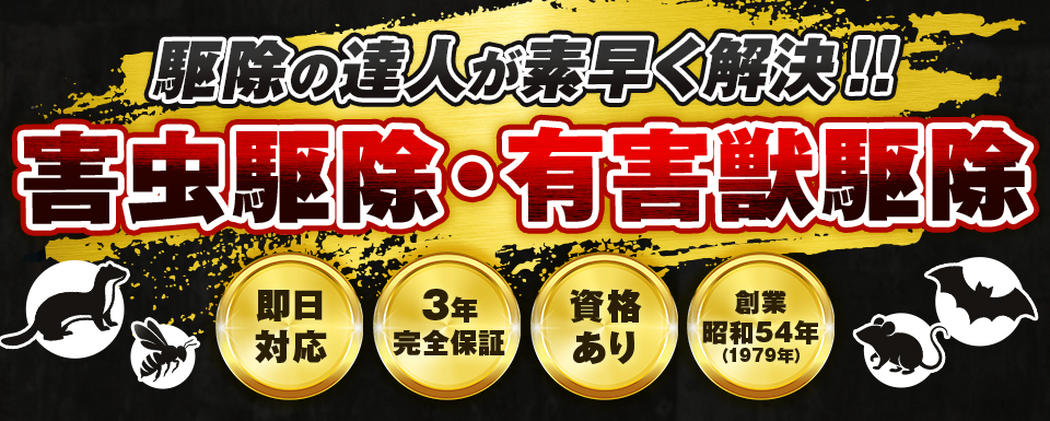 ＂駆除の達人が素早く解決！！害虫駆除・有害獣駆除 即日対応・3年完全保証・資格あり・創業昭和54年