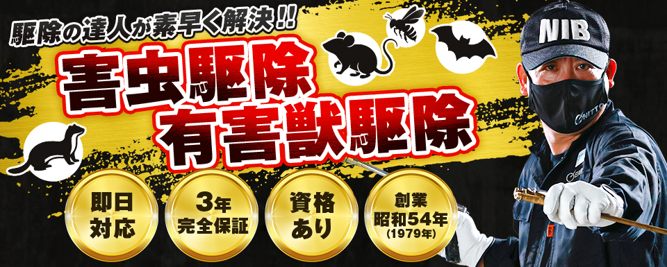 ＂駆除の達人が素早く解決！！害虫駆除・有害獣駆除 即日対応・3年完全保証・資格あり・創業昭和54年