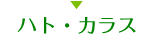 ハト・カラス