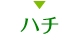 ハチ