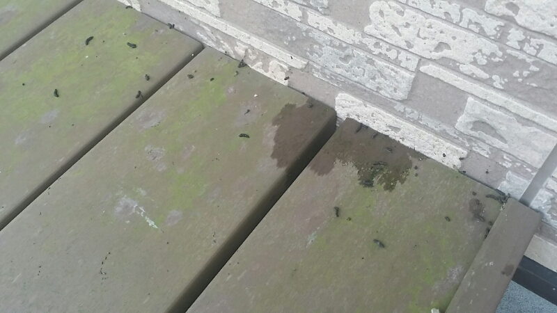 20150517_123607.jpg image