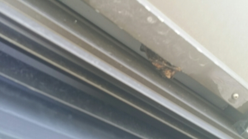 20150517_124308.jpg image