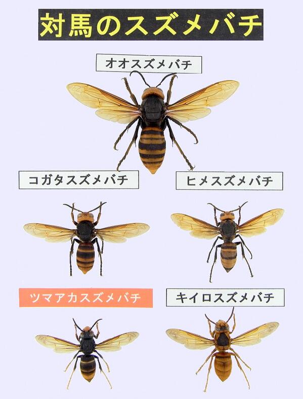 BjBGkwXCIAAvPjw.jpg image