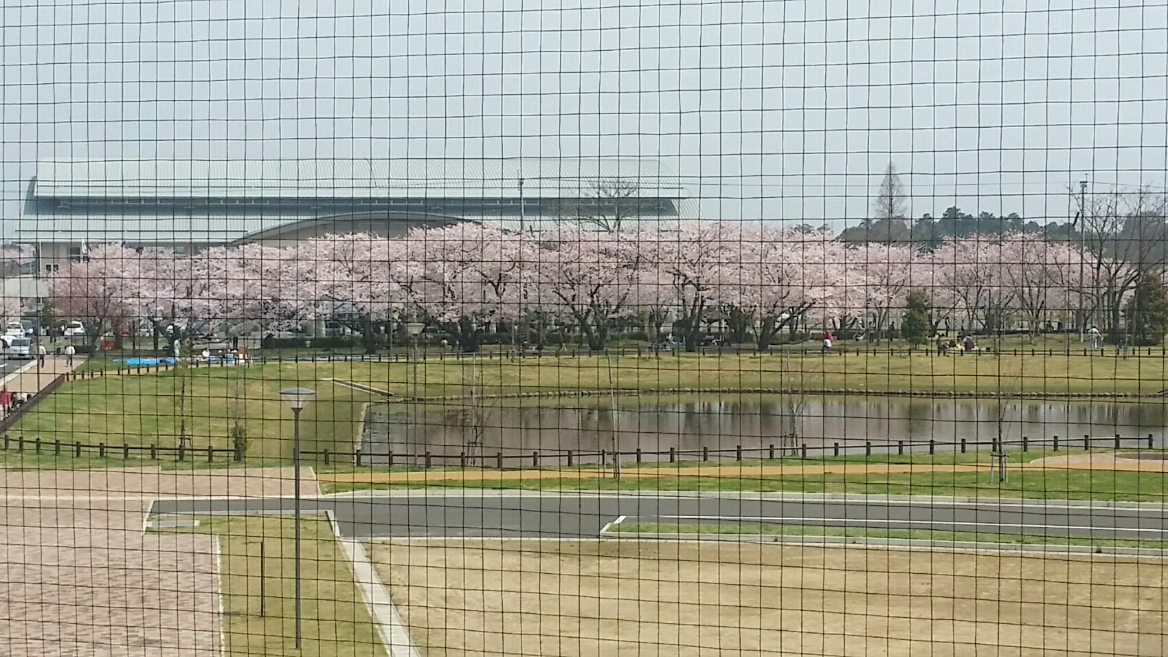 20160402_111001.jpg image