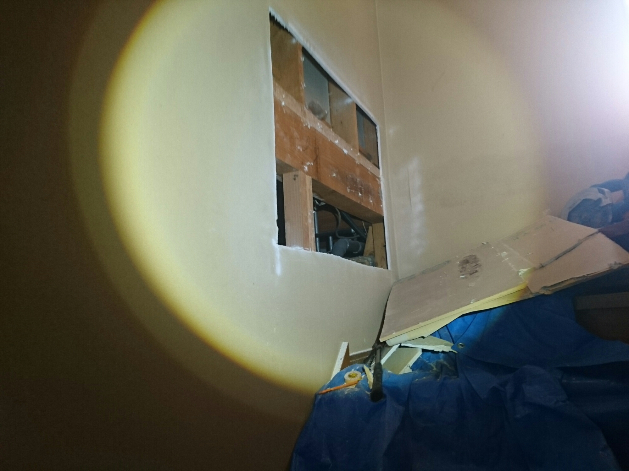 wp-1465679691848 image