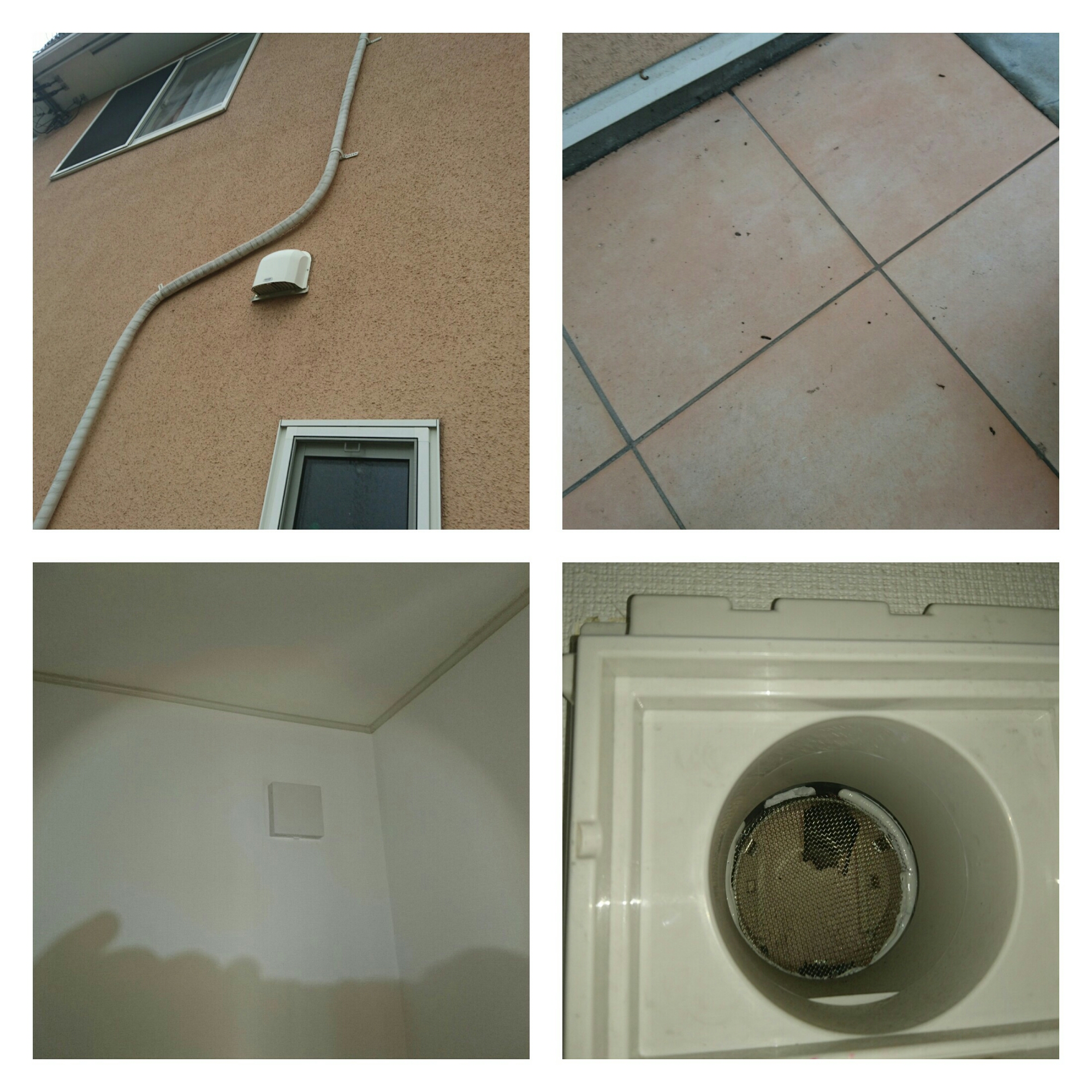 wp-1467086818961 image