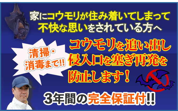 コウモリが住み着いてしまって不快な思いをされている方へ