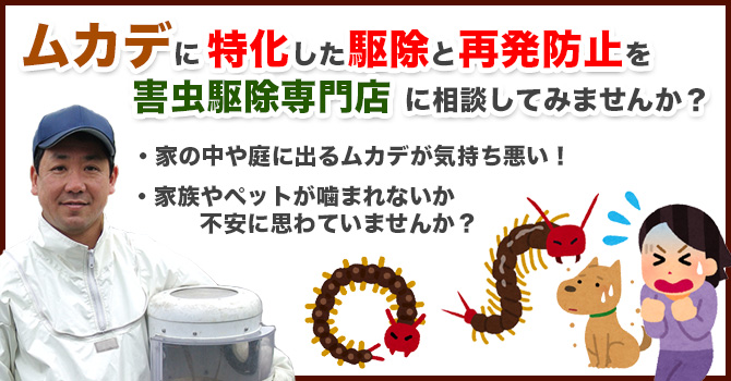 ムカデに特化した駆除と再発防止を害虫駆除専門店に相談してみませんか？