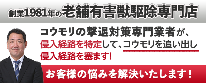 お客様の悩みを解決します！